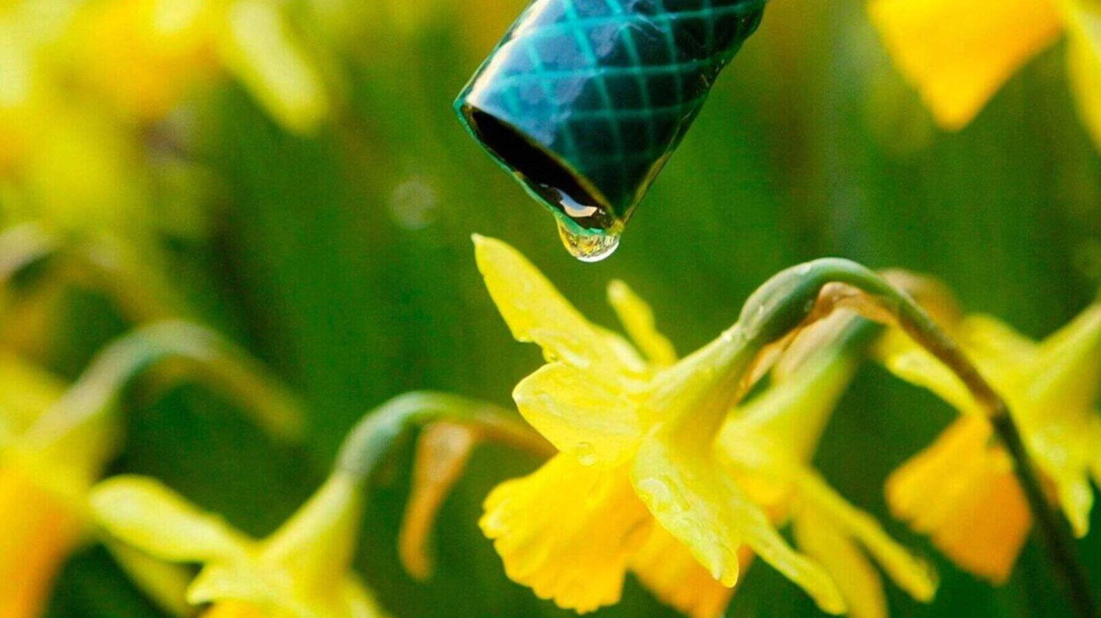 Tipperary heatwave: Water usage to be restricted as Status Yellow warning issued for high temperatures
